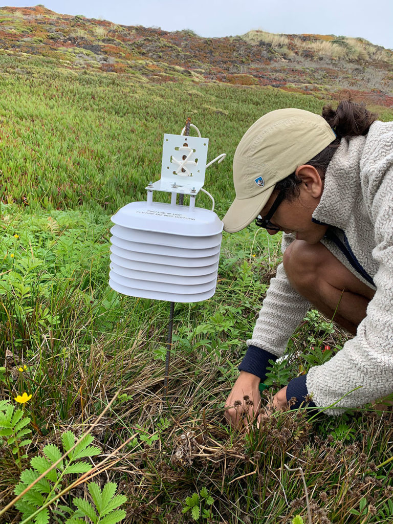 phd botany scholarship